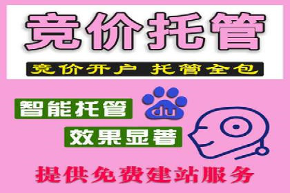 成功SEM推广代运营案例分享